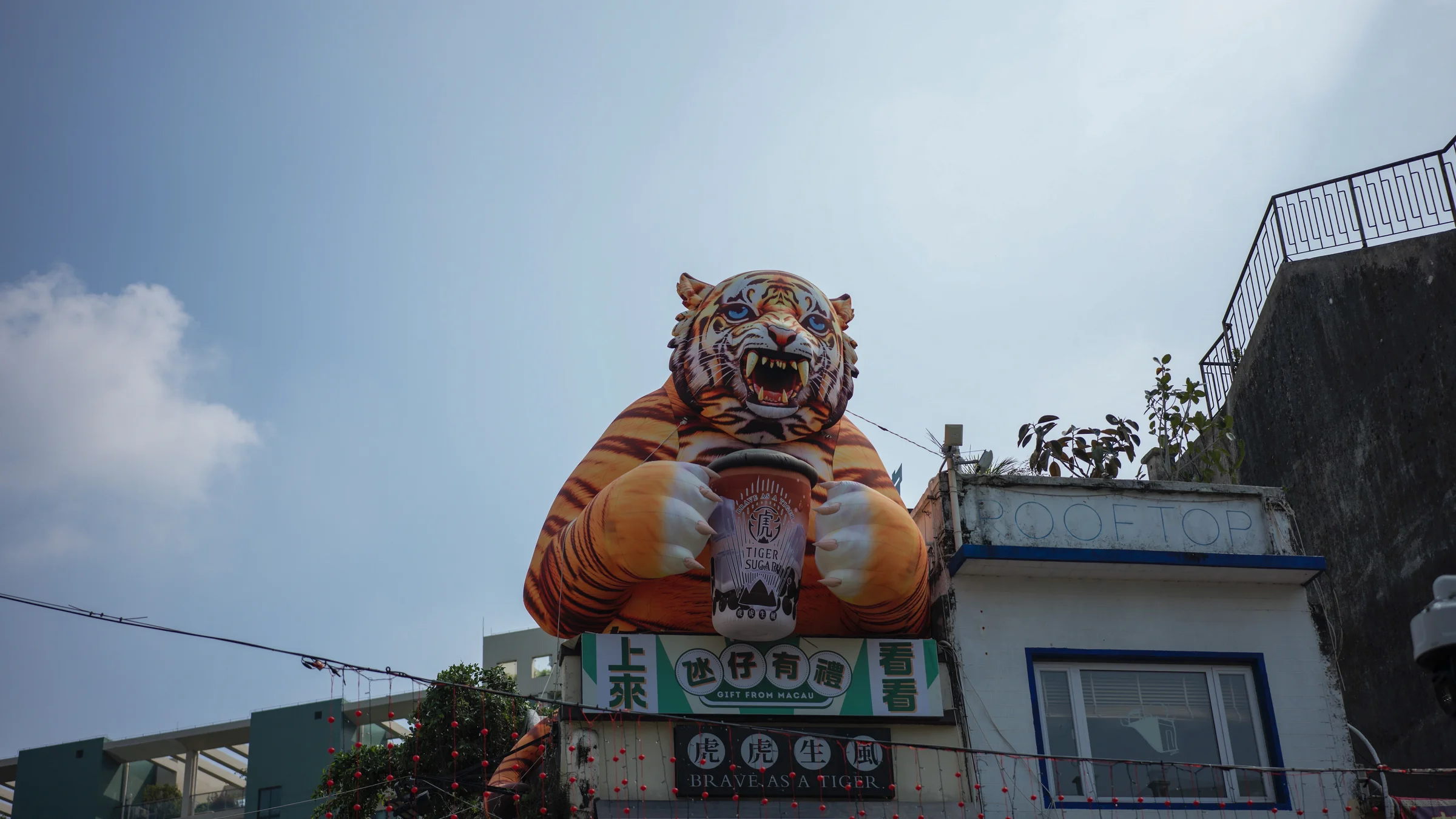 b0000510heic1760765578