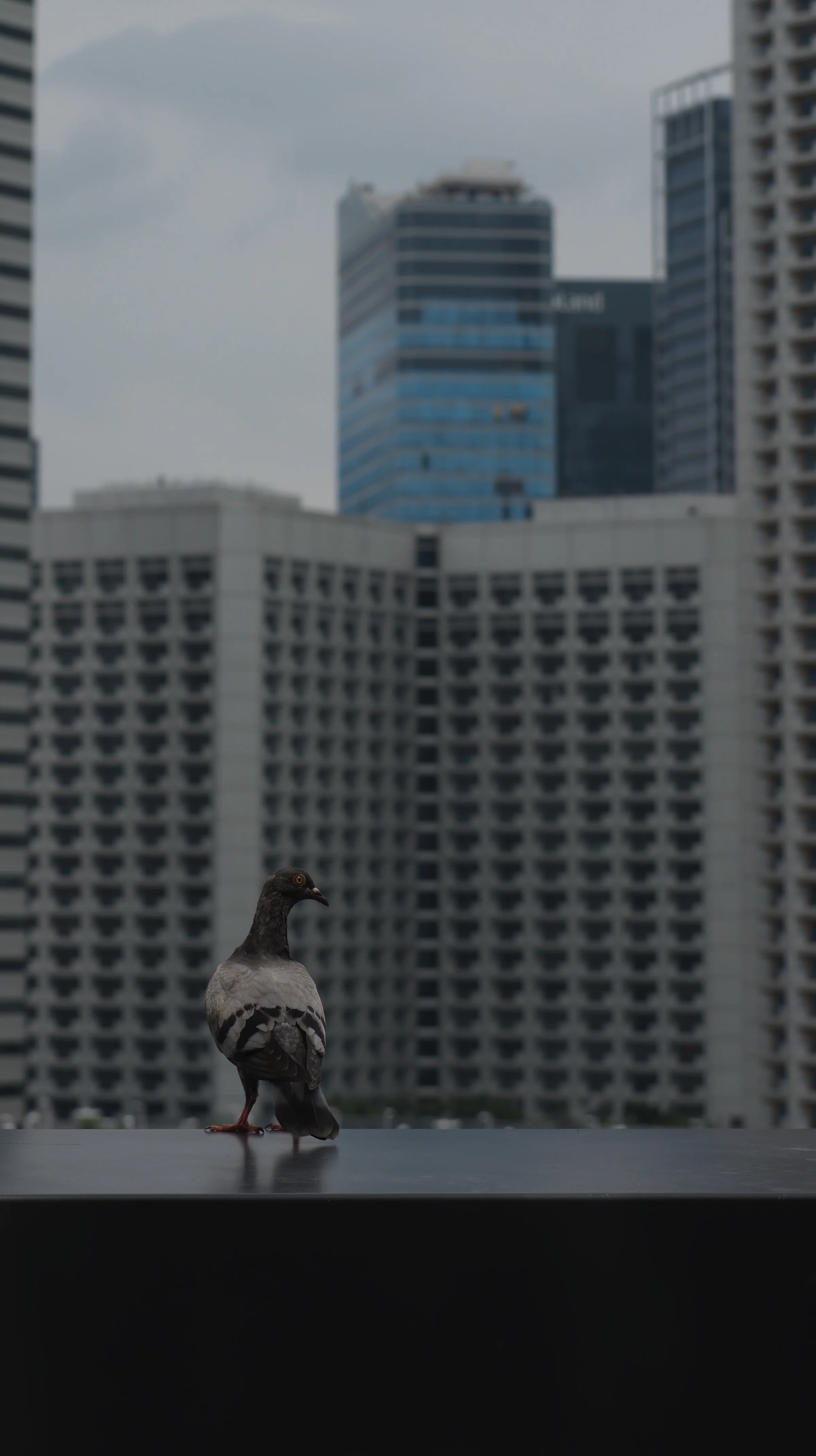 b0000640heic1768631204