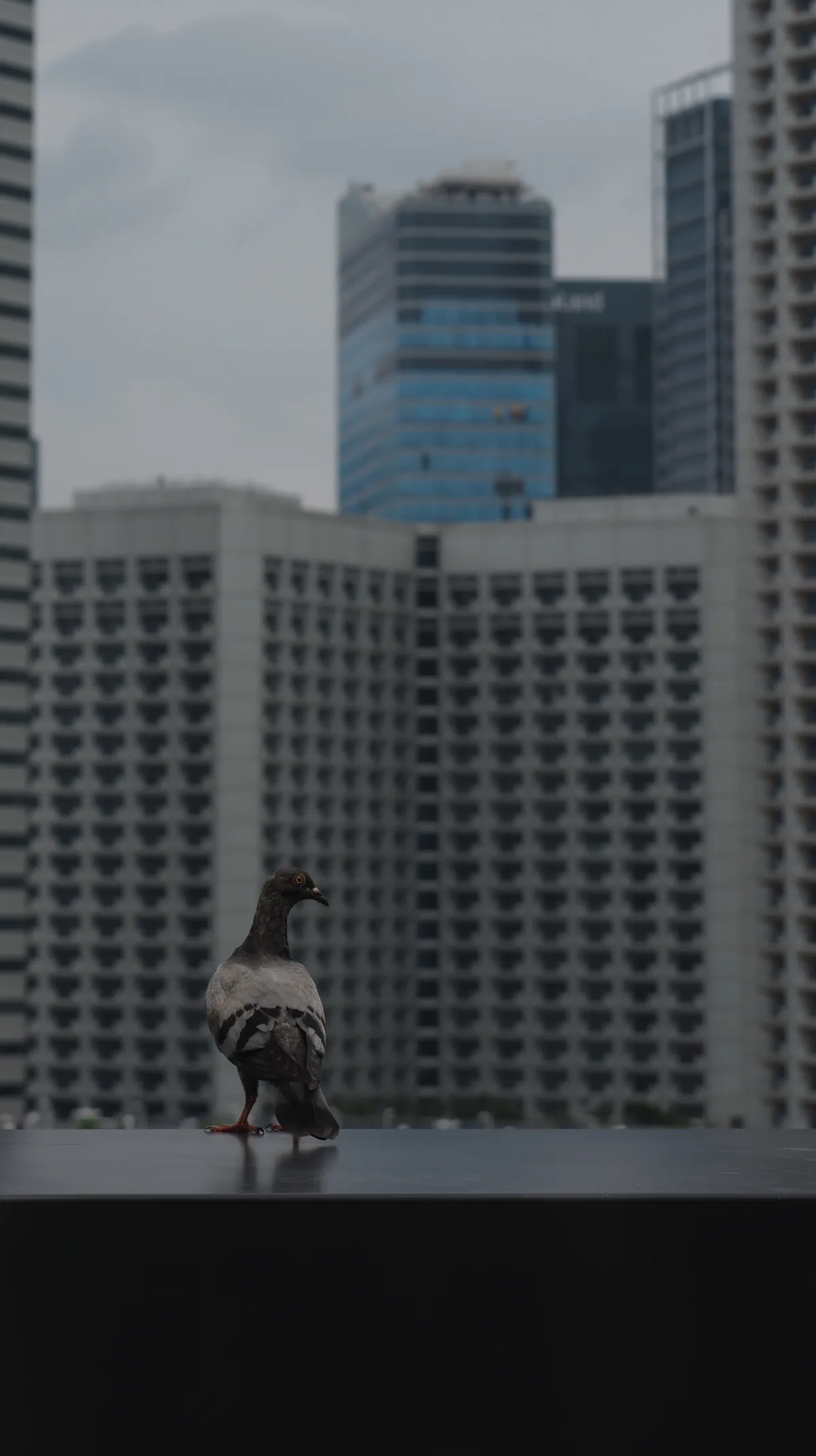 b0000640heic1768631204