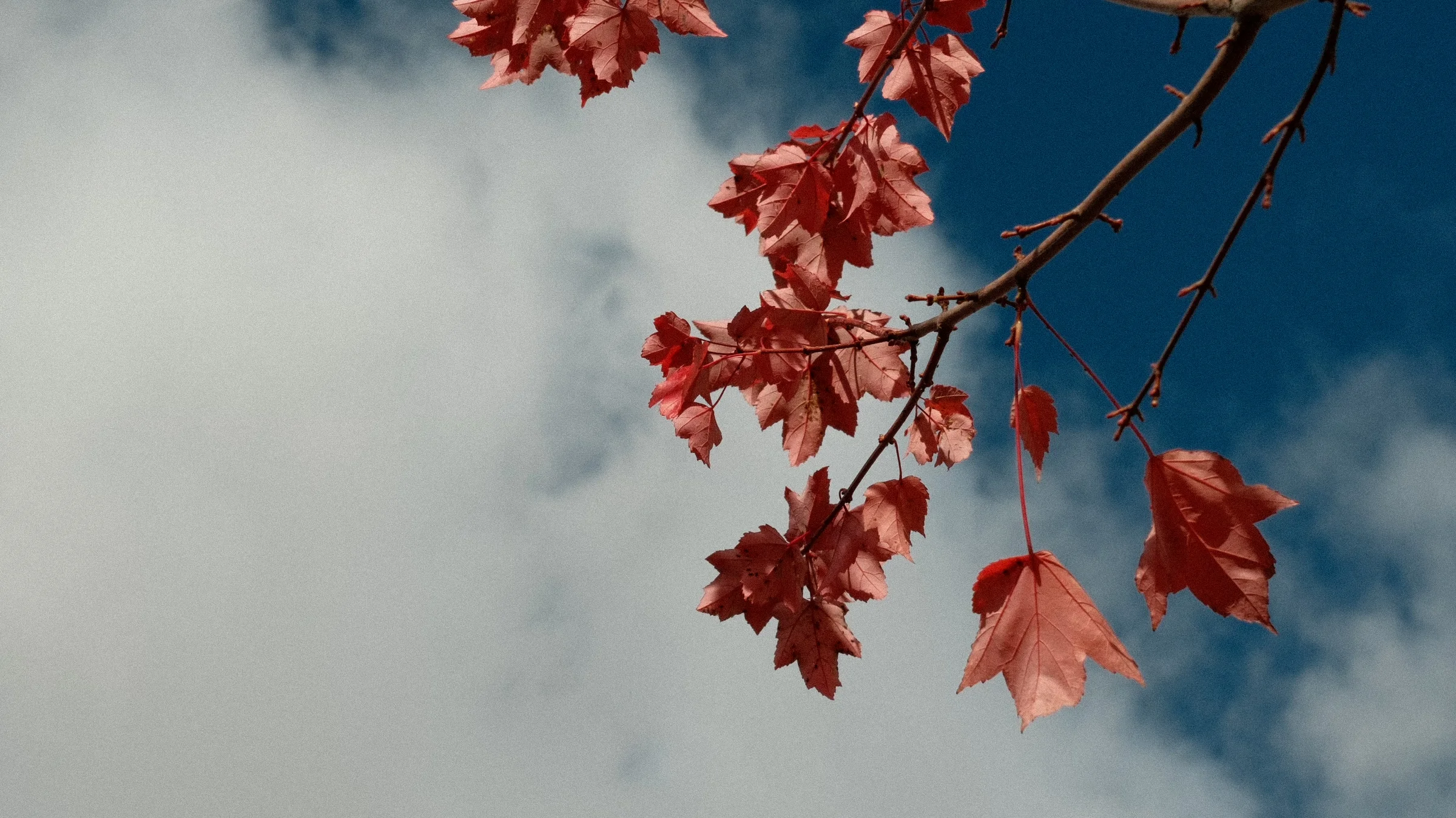 dscf0840