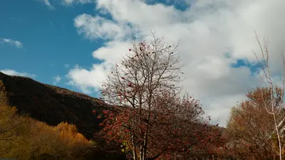 dscf0847