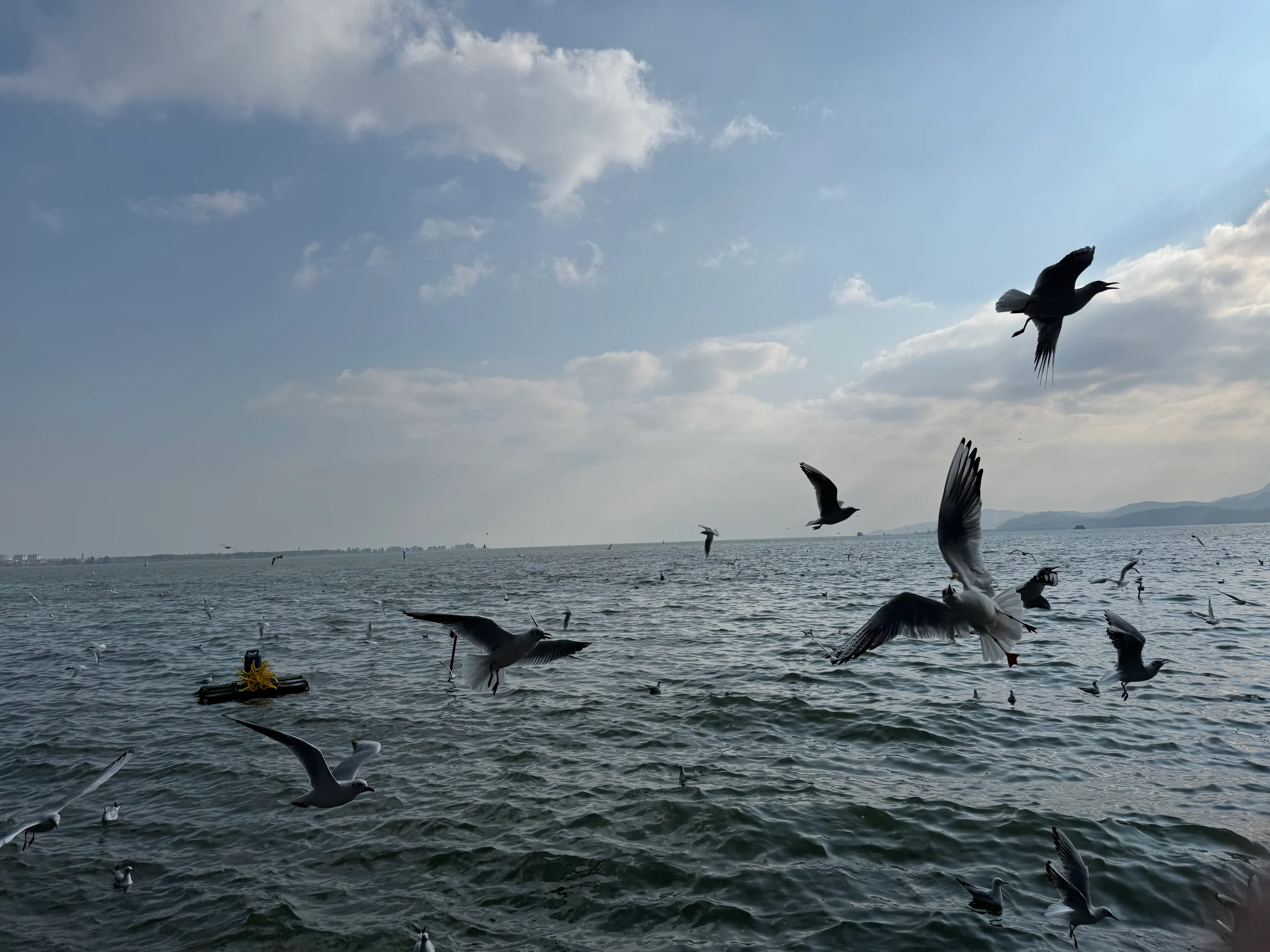 img-4891